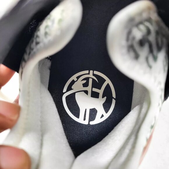 Nike Lebron 18 XVIII x Diana Taurasi GOAT La Cabra CQ9283-008 Black Red Sage 8 - Picture 10 of 12